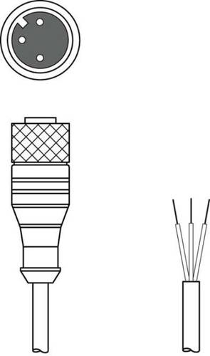 Leuze Electronic 50136682 Anschlussleitung 1St. von Leuze Electronic