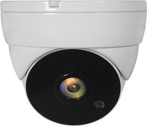 LevelOne ACS-5302 CCTV Sicherheitskamera Innen & Außen Kuppel Zimmerdecke (ACS-5302) von LevelOne