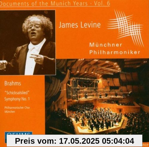 Schicksalslied/Sinfonie 1 Schicksalslied/Sinfonie 1 von Levine