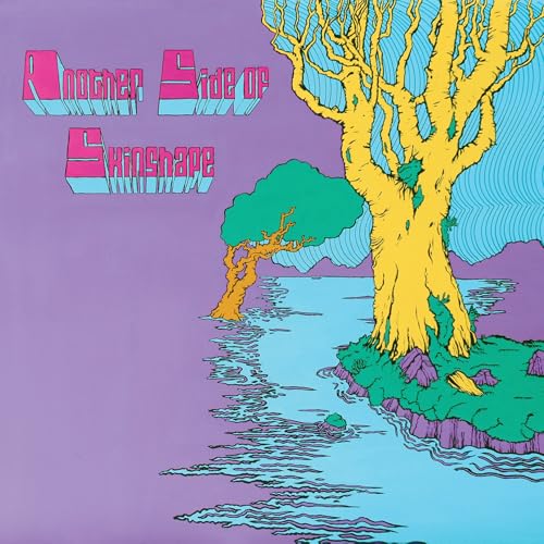 Another Side of Skinshape [Vinyl LP] von Lewis Recordings