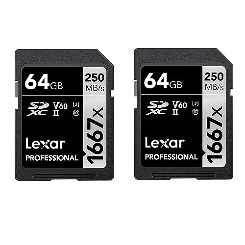 Lexar Professional 1667x SD Karte 64GB 2er-Pack, Speicherkarte SDXC UHS-II, Bis zu 250 MB/s Lesen, Class 10, U3, V60, SD für Professionelle Fotografen, Videofilmer, Enthusiasten (LSD1667064G-B2NAA) von Lexar