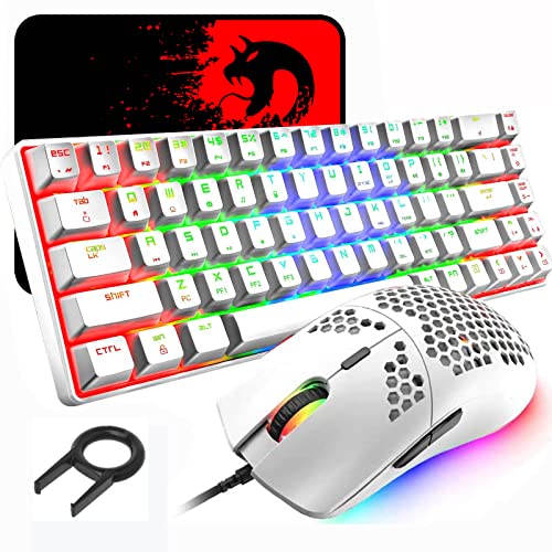 60% mechanische Gaming-Tastatur, blauer Schalter, Mini-68 Tasten, kabelgebunden, Typ C, 18 Hintergrundbeleuchtungseffekte + leichte optische RGB Maus mit 6400 dpi, Wabenmaus + großes Mauspad - Weiß von LexonElec