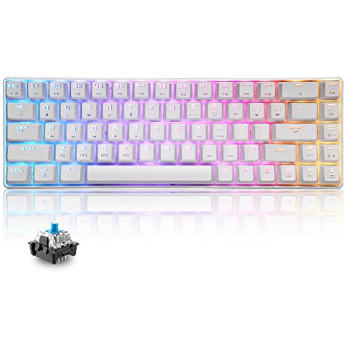 60% mechanische Mini-Tastatur, kompakt 68 Tasten, USB C, kabelgebunden, RGB-Tastatur, 18 Chroma Rainbow Hintergrundbeleuchtung, tragbar, kompatibel mit PS4, Xbox, PC, Laptop – Weiß/Blauer Schalter von LexonElec