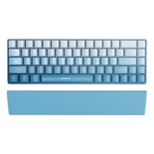Blau Handgelenkauflage Zum 60% Mini Kompakt Mechanische Wireless Bluetooth 5.1 Beleuchtet Gaming PC Tastatur Ergonomisch Memory Foam Faux Leder Wrist Rest Anti Skid Gummi Basis Weich Für Game Office von LexonElec