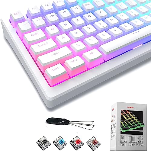 Econnect Pudding Keycaps 61 87 104 108 Double Shot PBT Keycap Set mit transluzenter Schicht, für DIY RGB Gaming mechanische Tastaturen, PBT Profil, US-Layout (weiß) von LexonElec