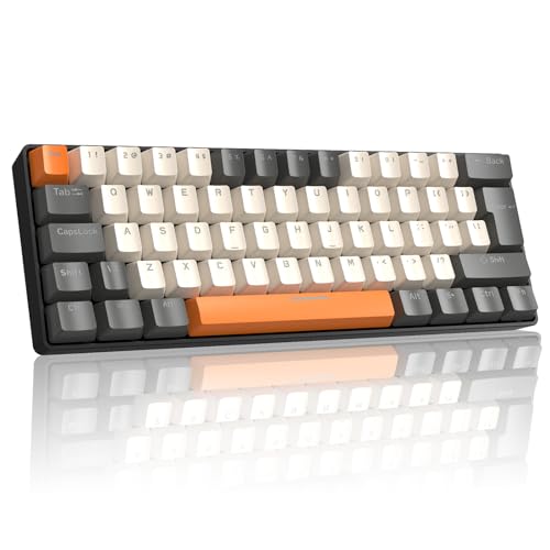 LexonElec Mechanische Gaming-Tastatur, 60 % UK-Layout, ultrakompakte braune Schalter mit 62 Tasten, kabelgebundene Tastatur, gemischte Farben, 19 RGB-Hintergrundbeleuchtungsmodi für PC -Milkshake von LexonElec