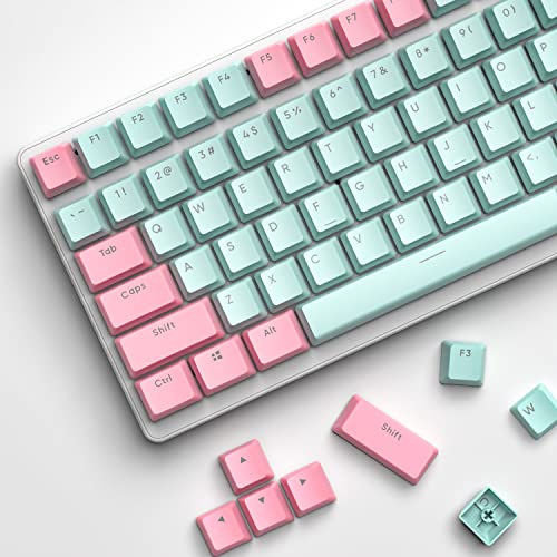 PBT Keycaps 117 Tasten, OEM Profil Double-Shot Tastenset für Gaming Tastatur, ISO/ANSI-Layout (US), für Cherry Gateron Kailh MX Schalter Mechanische Tastatur, Blau und rosa von LexonElec