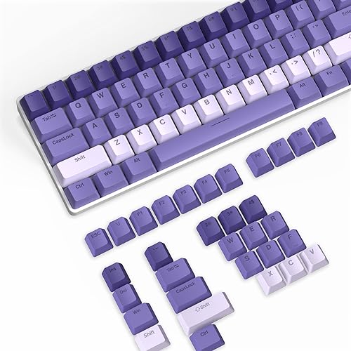 ABS Tastenkappen,112 Tasten ABS Tastenkappen-Set,OEM-Profil,ANSI US-Layout für Mechanische Tastatur,Kompatibel mit MX-Schaltern Cherry/Gateron/Kailh/Akko Schalter,mit Tastenzieher von LexonTech