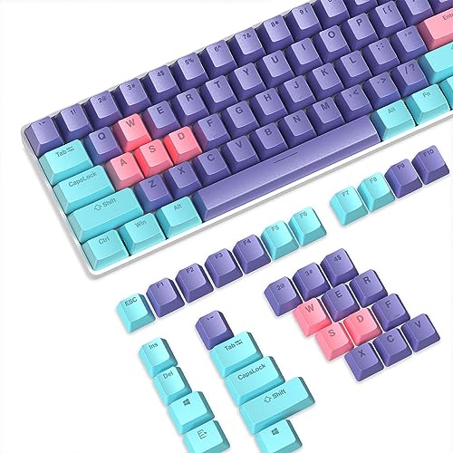 PBT-Tastenkappen,116 Tasten PBT-Double-Shot-Tastenkappen-Set,OEM-Profil,ANSI US-Layout für Mechanische Tastatur,Kompatibel mit MX-Schaltern Cherry/Gateron/Kailh/Akko Schalter,mit Tastenzieher von LexonTech