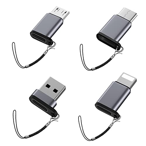 USB c auf Lightning Adapter, Micro auf Micro Adaptre,USB auf USB C,kompatibel Type C auf I-OS Anschluss, [4-teilig], tragbarer USB C Übertragung Schlüsselanhänger von Liaoan