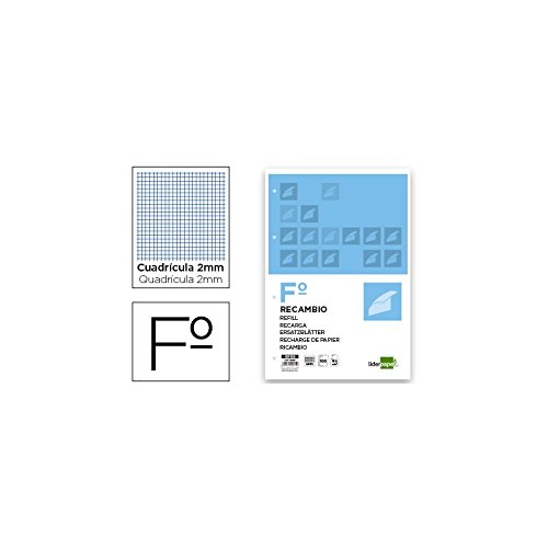 Ersatz LIDERPAPEL Folio 100 Blatt 60 g/m2milimetrado ohne Rand 4 Bohrern von Liderpapel