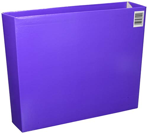 Liderpapel 64592 – Box Ordner von Liderpapel