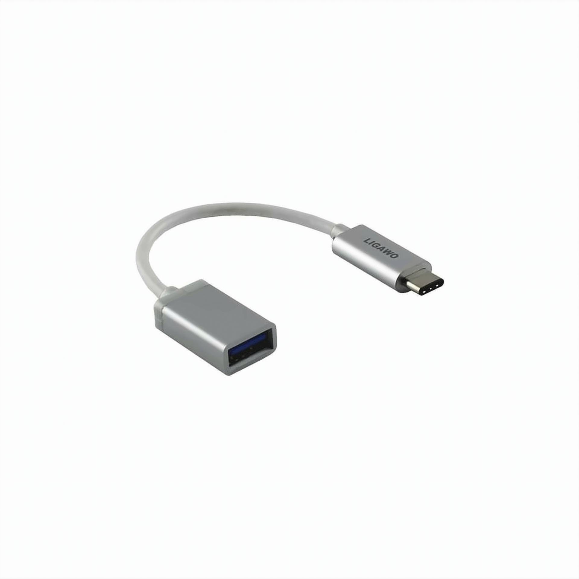 Ligawo 6518941 USB 3.1 Typ C Stecker an USB 3.1 Typ A Buchse silber von Ligawo