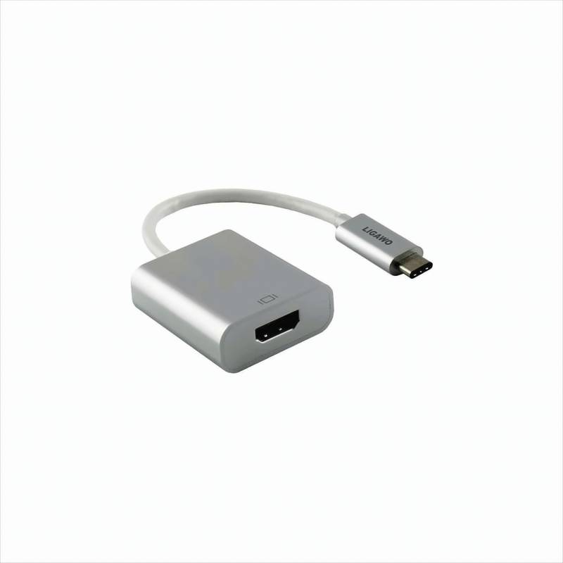 Ligawo 6518957 USB 3.1 Typ C Stecker an HDMI Buchse Adapter silber von Ligawo