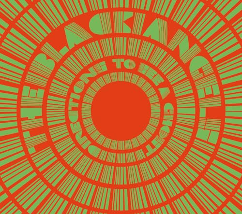 Directions To See A Ghost - Metallic Silver [Vinyl LP] von Light in the Attic