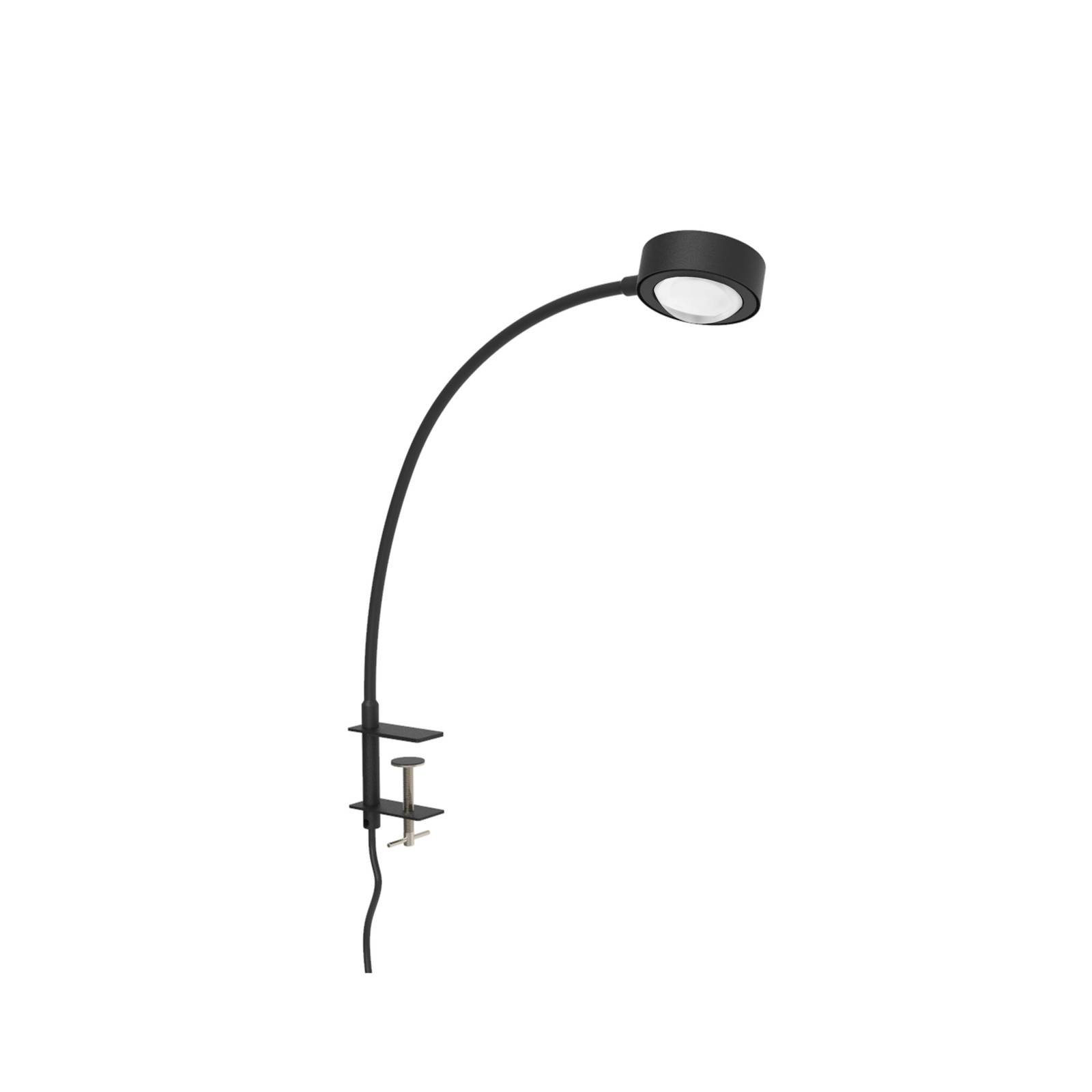 LIGHTME Tischleuchte Powerlens Flex, Schraube, schwarz LIGHTME Tischleuchte Powerlens Flex, Schraube, schwarz von LightMe