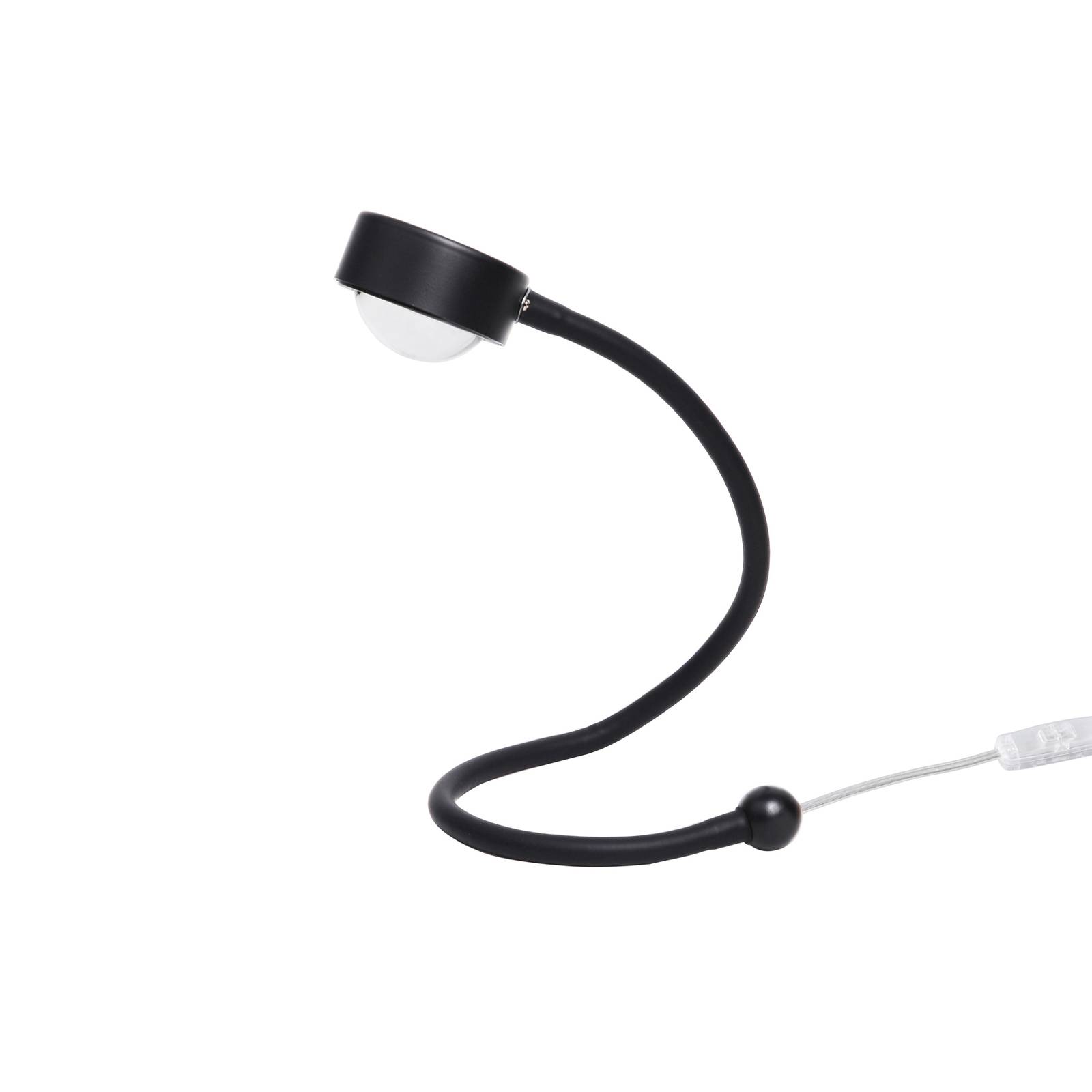LIGHTME Tischleuchte Powerlens Snake, schwarz, Flexarm LIGHTME Tischleuchte Powerlens Snake, schwarz, Flexarm von LightMe
