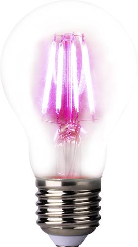 LightMe LED-Pflanzenlampe LM85320 109mm 230V E27 4W Glühlampenform 1St. von LightMe