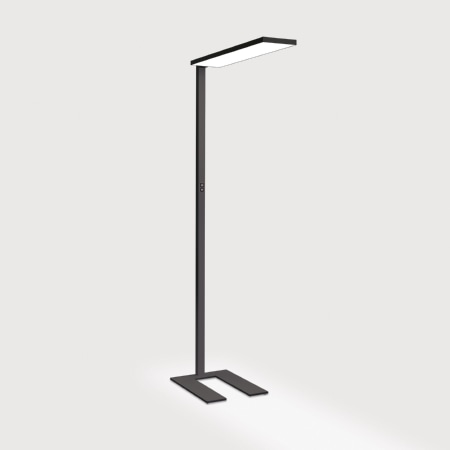 CF1ABM-840H-L900-U-A - LED-Stehleuchte 4000K, schwarz CF1ABM-840H-L900-U-A CF1ABM-840H-L900-U-A - LED-Stehleuchte 4000K, schwarz CF1ABM-840H-L900-U-A von Lightnet