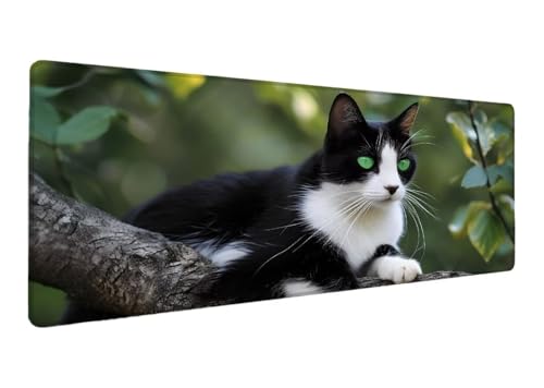 Gaming Mauspad XXL 1000x500x3mm, Katze Mauspad, Große Baum Schreibtischunterlage Tastatur Matte, rutschfeste Gummibasis Schreibtisch Matte, Genähte Kanten Mouse Pad Desk Mat Für Home Computer C-0 Gaming Mauspad XXL 1000x500x3mm, Katze Mauspad, Große Baum Schreibtischunterlage Tastatur Matte, rutschfeste Gummibasis Schreibtisch Matte, Genähte Kanten Mouse Pad Desk Mat Für Home Computer C-0 von Lihogbo