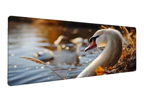 Gaming Mauspad XXL 600x300x3mm, Schwan Mauspad, Große Tier Schreibtischunterlage Tastatur Matte, rutschfeste Gummibasis Schreibtisch Matte, Genähte Kanten Mouse Pad Desk Mat Für Home Computer A-6 Gaming Mauspad XXL 600x300x3mm, Schwan Mauspad, Große Tier Schreibtischunterlage Tastatur Matte, rutschfeste Gummibasis Schreibtisch Matte, Genähte Kanten Mouse Pad Desk Mat Für Home Computer A-6 von Lihogbo
