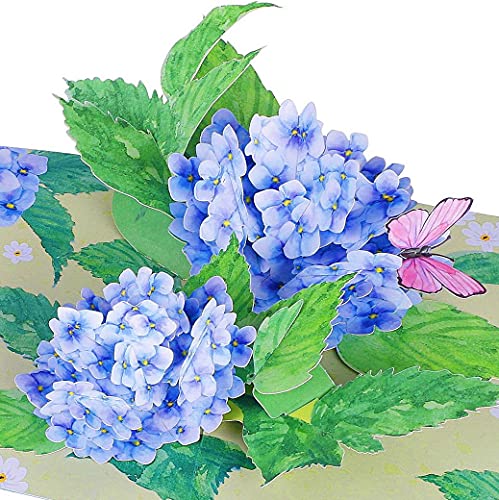 Liif Hortensienblüten Schmetterling 3D Grußkarte Pop Up Muttertagskarte Frühling Sommer Jahrestag Vatertag Get Well Thinking Of You alle Anlässe Happy Birthday Karten für Mutter Frauen Sie mit Liif Hortensienblüten Schmetterling 3D Grußkarte Pop Up Muttertagskarte Frühling Sommer Jahrestag Vatertag Get Well Thinking Of You alle Anlässe Happy Birthday Karten für Mutter Frauen Sie mit von Liif