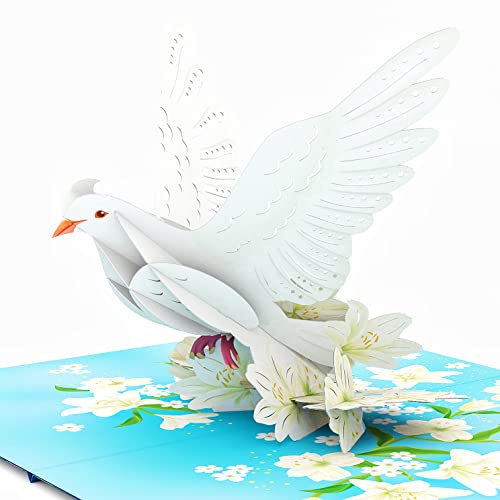 Liif Weiße Friedenstaube 3D-Grußkarte, religiöse Weihnachtskarte, Beileidskarte – inspirierend, christlich, Genesung, Denken Sie an Sie, mit Nachricht, Größe 17,8 x 12,7 cm Liif Weiße Friedenstaube 3D-Grußkarte, religiöse Weihnachtskarte, Beileidskarte – inspirierend, christlich, Genesung, Denken Sie an Sie, mit Nachricht, Größe 17,8 x 12,7 cm von Liif