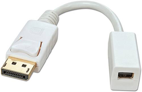 LINDY 41060 DisplayPort / Mini-DisplayPort Adapterkabel [1x DisplayPort Stecker - 1x Mini-DisplayPor von Lindy