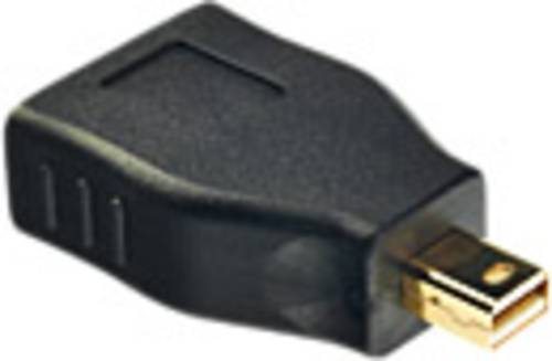 LINDY 41077 Mini-DisplayPort / DisplayPort Adapter [1x Mini-DisplayPort Stecker - 1x DisplayPort Buc von Lindy