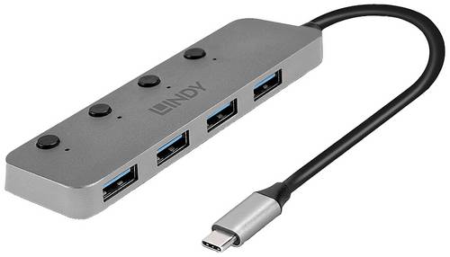 LINDY 43383 4 Port USB-C® (USB 3.2 Gen 2) Multiport Hub Grau von Lindy
