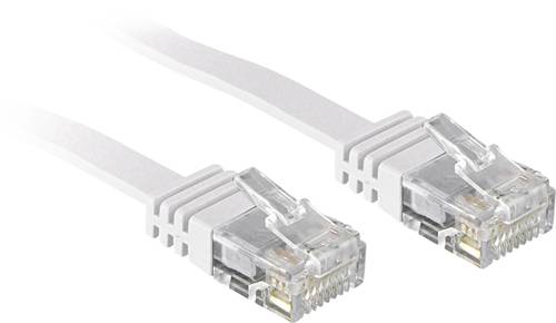 LINDY 47503 RJ45 Netzwerkkabel, Patchkabel CAT 6 U/UTP 3.00m Weiß mit Rastnasenschutz 1St. von Lindy