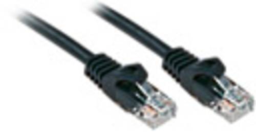 LINDY 48190 RJ45 Netzwerkkabel, Patchkabel CAT 6 U/UTP 0.30m Schwarz von Lindy