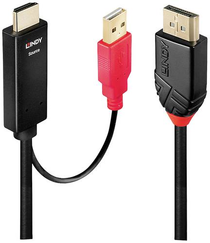 LINDY Anschlusskabel DisplayPort Stecker, HDMI-A Stecker, USB-A Stecker 0.50m Schwarz 41424 DisplayP von Lindy