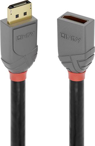 LINDY DisplayPort Verlängerungskabel DisplayPort Stecker, DisplayPort Buchse 2.00m Anthrazit, Schwa von Lindy
