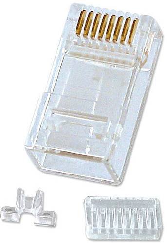 LINDY Netzwerk Adapter Transparent von Lindy