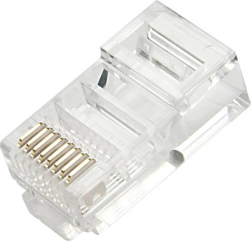 LINDY Netzwerk Adapter Transparent von Lindy