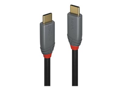LINDY USB 3.1 Kabel Typ C/C 5A PD Anthra Line M/M 0.5m von Lindy