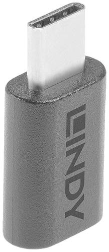 LINDY USB 3.2 Gen 2x2 Adapter [1x USB-C® Stecker - 1x USB-C® Buchse] von Lindy