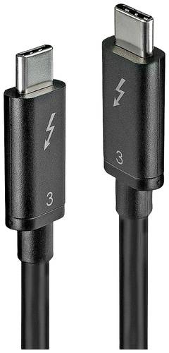 LINDY USB-Kabel USB 3.2 Gen1 (USB 3.0 / USB 3.1 Gen1) USB-C® Stecker, USB-C® Stecker 0.50m Schwarz von Lindy