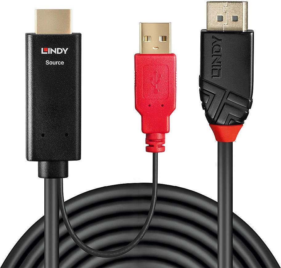 Lindy 2m HDMI an DisplayPort Adapterkabel Verbindet ein HDMI-Quellgerät mit einem DisplayPort-Monitor (41426) von Lindy