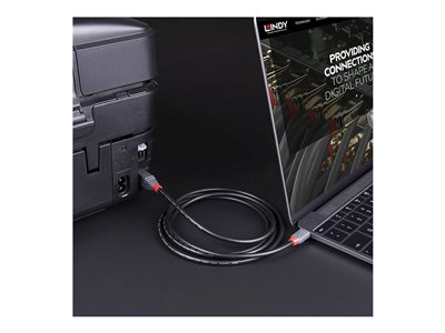 Lindy 36668 USB Kabel USB 3.2 Gen 1 (3.1 Gen 1) 3 m USB C USB B Schwarz von Lindy