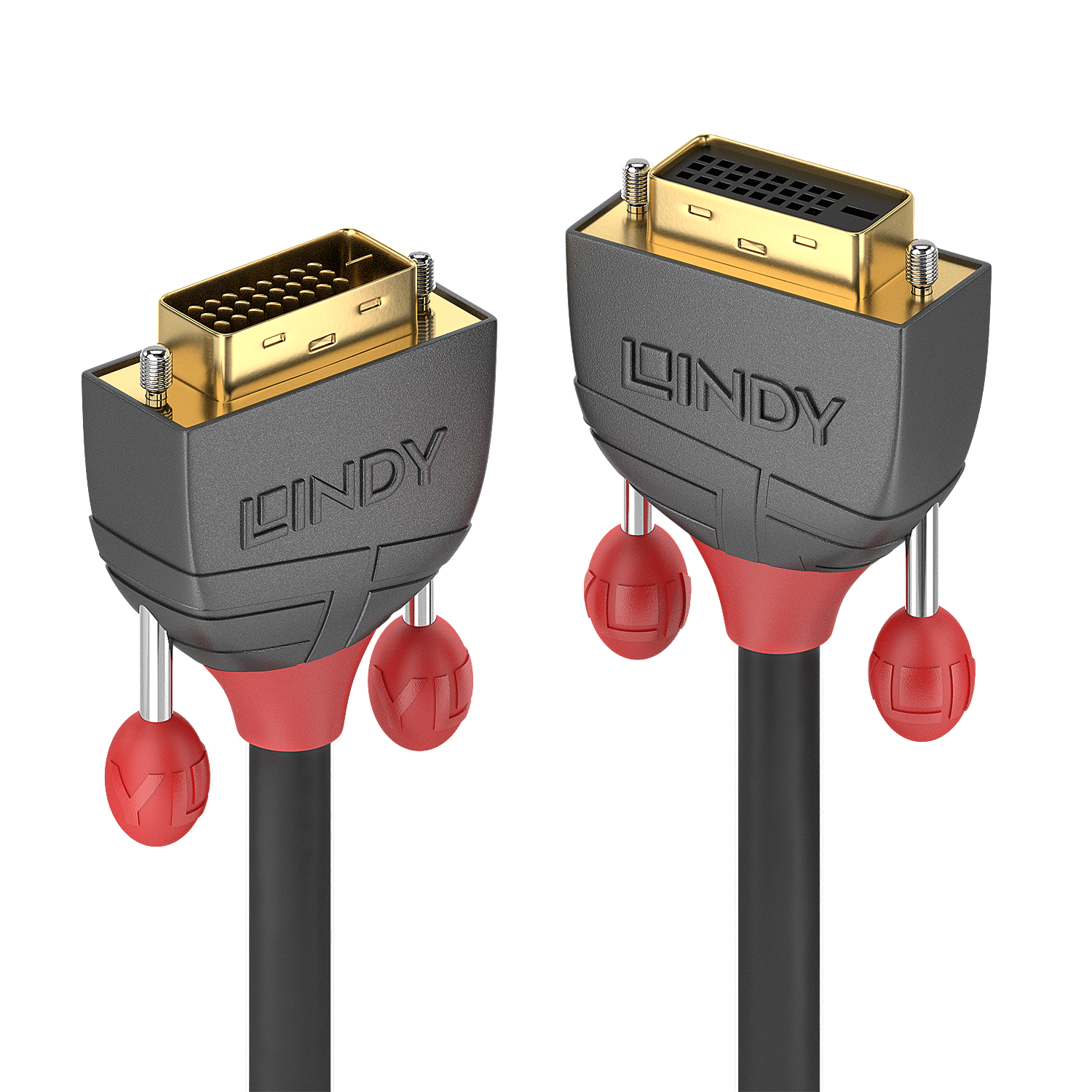 Lindy 5m DVI-D Dual Link Verlängerung, Anthra Line DVI-D Dual Link Stecker auf Kupplung (36234) von Lindy