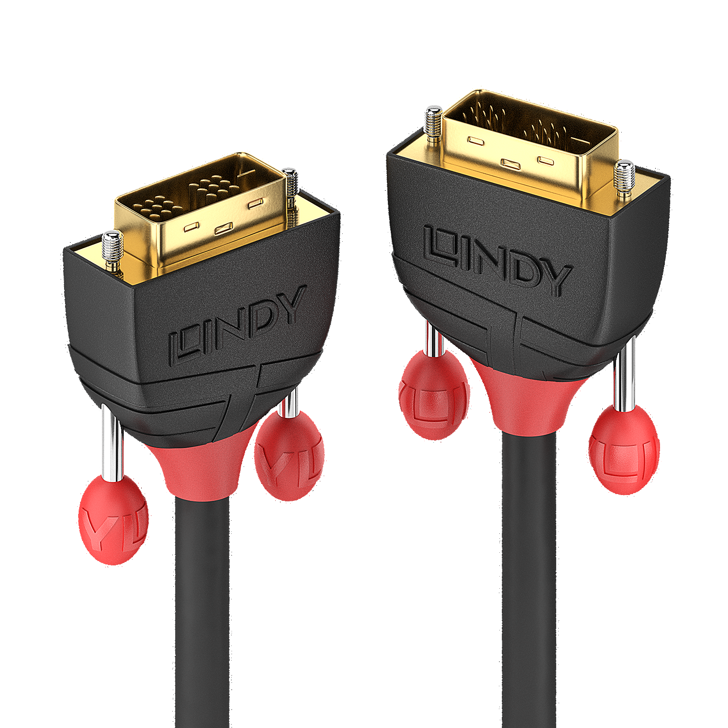 Lindy Black Line - DVI-Kabel - Single Link - DVI-D (M) bis DVI-D (M) - 3 m - rund, Daumenschrauben - Schwarz von Lindy