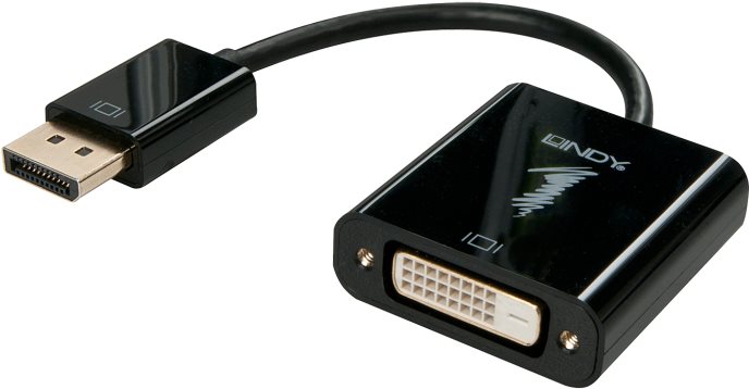 Lindy DisplayPort to DVI-D Adapter - Videokonverter - Parade PS171 - DisplayPort - Schwarz (41734) von Lindy