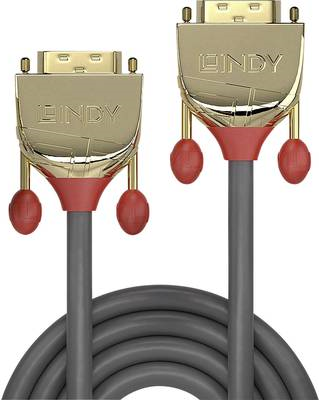 Lindy Gold - DVI-Kabel - Single Link - DVI-D (M) bis DVI-D (M) - 20,0m - Daumenschrauben - Grau (36217) von Lindy