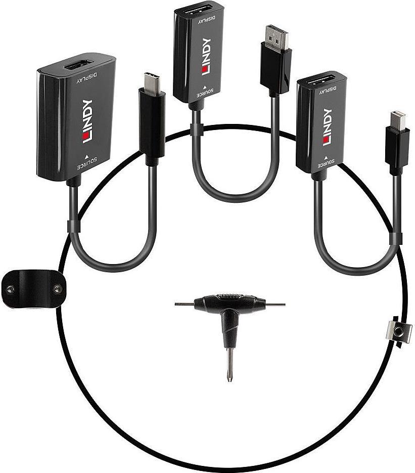 Lindy - Videoschnittstellen-Converter - Schwarz - unterstützt 4K 60 Hz (3840 x 2160) (38304) von Lindy