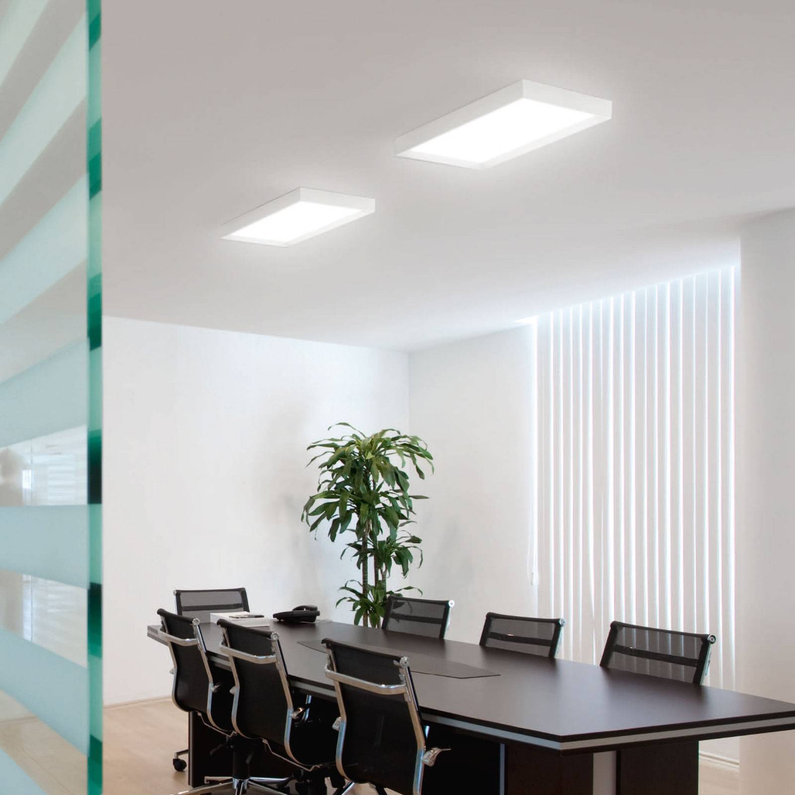 LED-Deckenleuchte Tara dimmable, 54 x 29 cm LED-Deckenleuchte Tara dimmable, 54 x 29 cm von Linea Light