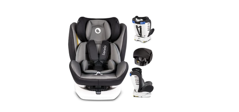 Lionelo Bastiaan grey Lionelo Bastiaan grey von Lionelo