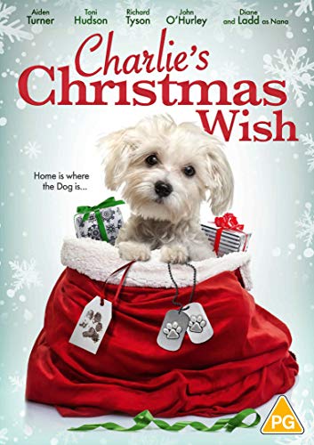 Charlie's Christmas Wish [DVD] [2020] von Lionsgate
