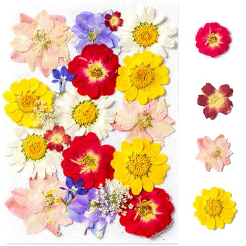 40/120 PCS Transparent Dried Flower Bookmarks, Handmade DIY Dried Flower Bookmark Kit, Spring Clear Book Marks for Pressed Flowers (Dried flower-A) von Lircofi